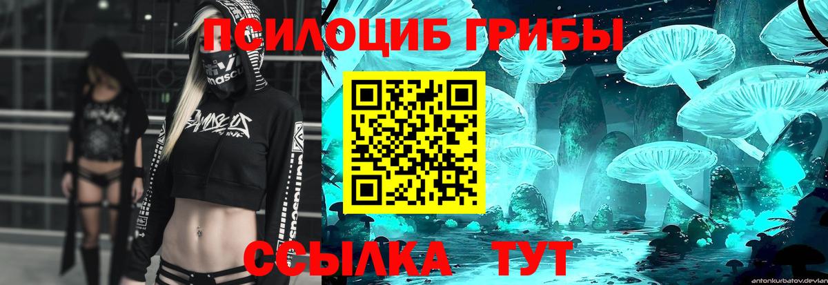 Россошь  Галлюциногенные грибы MAGIC MUSHROOMS  Псилоцибиновые грибы Magic Shrooms  Вход с VPN 